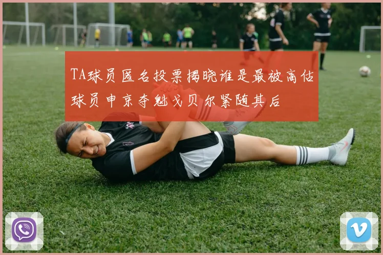TA球员匿名投票揭晓谁是最被高估球员申京夺魁戈贝尔紧随其后