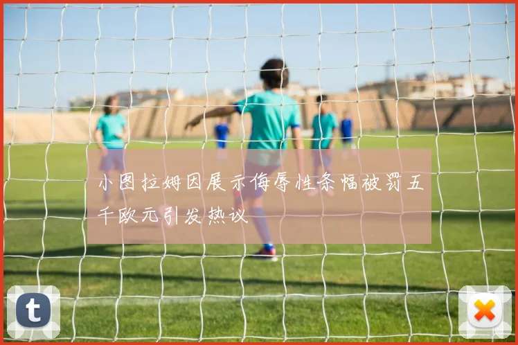 小图拉姆因展示侮辱性条幅被罚五千欧元引发热议